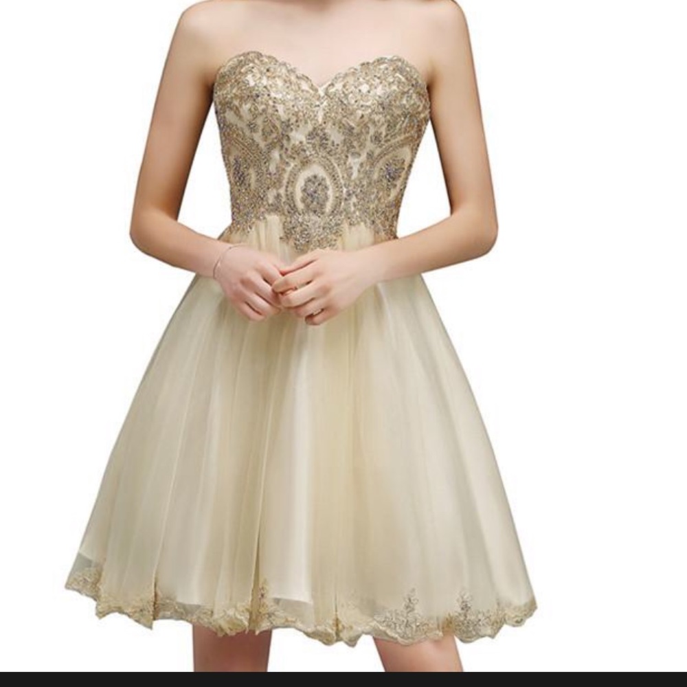 NEW Chiffon Beads  Embroidered Prom or Wedding Dress